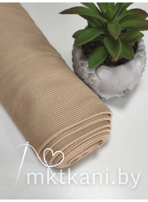 Кашкорсе фундук